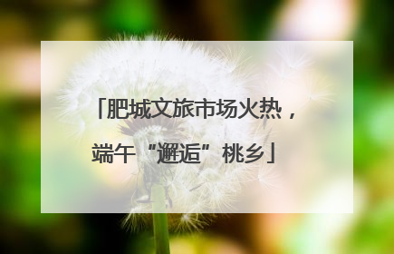 肥城文旅市场火热，端午“邂逅”桃乡