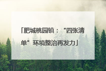 肥城桃园镇：“四张清单”环境整治再发力