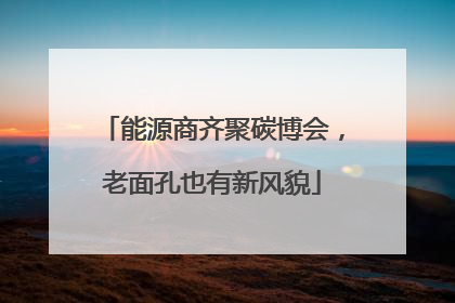 能源商齐聚碳博会，老面孔也有新风貌