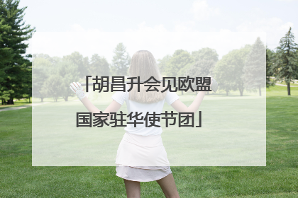 胡昌升会见欧盟国家驻华使节团