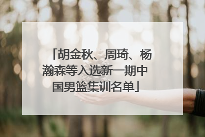 胡金秋、周琦、杨瀚森等入选新一期中国男篮集训名单