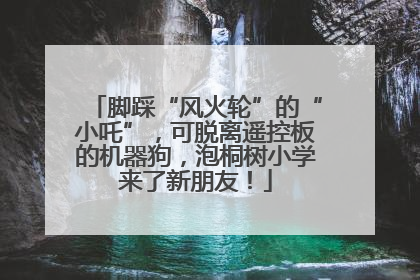 脚踩“风火轮”的“小吒”，可脱离遥控板的机器狗，泡桐树小学来了新朋友！