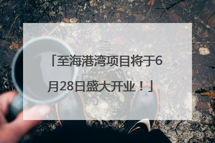 至海港湾项目将于6月28日盛大开业！