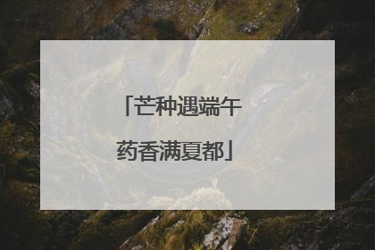 芒种遇端午 药香满夏都