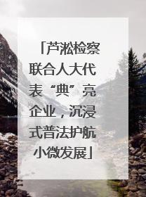 芦淞检察联合人大代表“典”亮企业，沉浸式普法护航小微发展