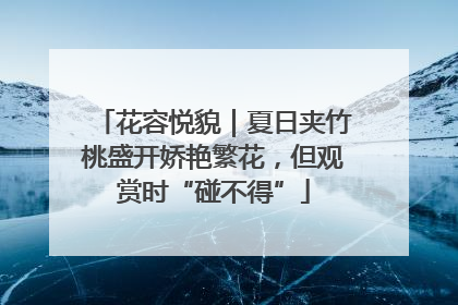 花容悦貌｜夏日夹竹桃盛开娇艳繁花，但观赏时“碰不得”