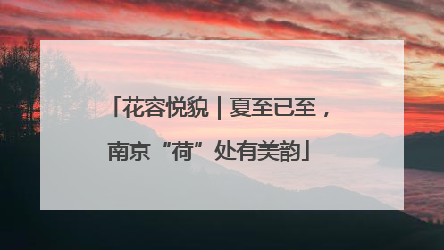 花容悦貌｜夏至已至，南京“荷”处有美韵