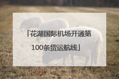 花湖国际机场开通第100条货运航线