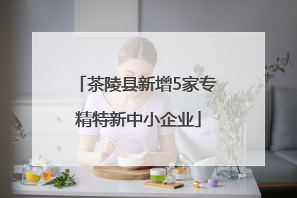 茶陵县新增5家专精特新中小企业