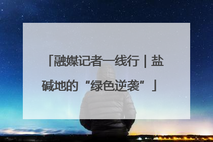 融媒记者一线行｜盐碱地的“绿色逆袭”