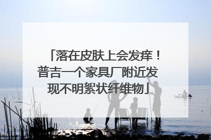 落在皮肤上会发痒！普吉一个家具厂附近发现不明絮状纤维物
