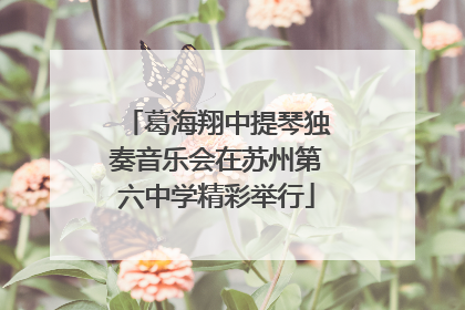 葛海翔中提琴独奏音乐会在苏州第六中学精彩举行