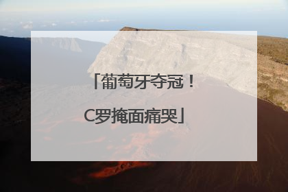 葡萄牙夺冠！C罗掩面痛哭