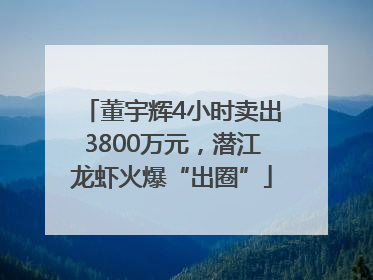 董宇辉4小时卖出3800万元，潜江龙虾火爆“出圈”