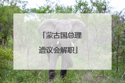 蒙古国总理遭议会解职