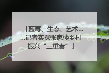 蓝莓、生态、艺术……记者实探张家楼乡村振兴“三重奏”