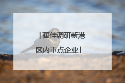 蔺佳调研新港区内重点企业