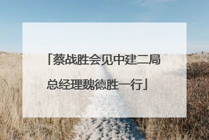 蔡战胜会见中建二局总经理魏德胜一行