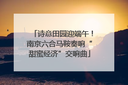 诗意田园迎端午！南京六合马鞍奏响“甜蜜经济”交响曲