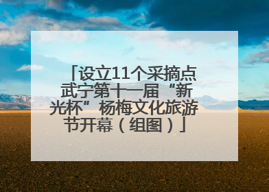 设立11个采摘点 武宁第十一届“新光杯”杨梅文化旅游节开幕（组图）