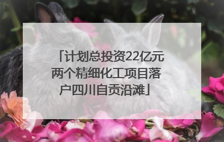 计划总投资22亿元 两个精细化工项目落户四川自贡沿滩