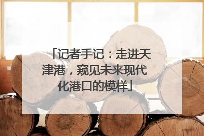 记者手记：走进天津港，窥见未来现代化港口的模样