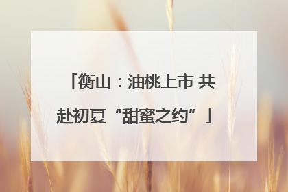 衡山：油桃上市 共赴初夏“甜蜜之约”