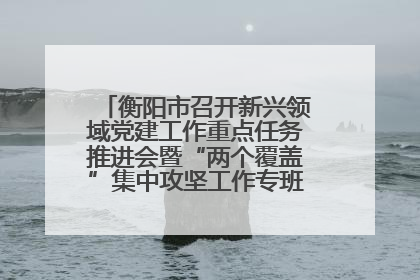 衡阳市召开新兴领域党建工作重点任务推进会暨“两个覆盖”集中攻坚工作专班 第一次会议