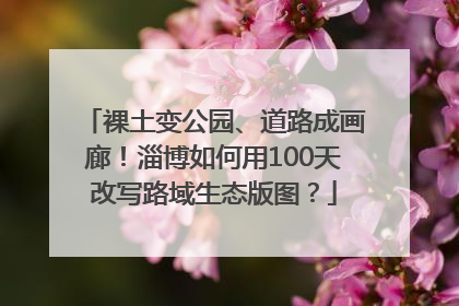 裸土变公园、道路成画廊!淄博如何用100天改写路域生态版图?