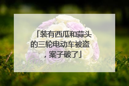 装有西瓜和蒜头的三轮电动车被盗，案子破了