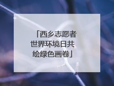 西乡志愿者世界环境日共绘绿色画卷