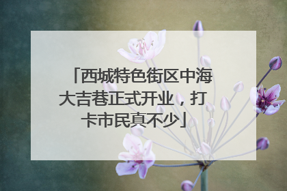 西城特色街区中海大吉巷正式开业，打卡市民真不少