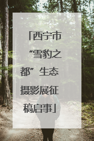 西宁市“雪豹之都”生态摄影展征稿启事