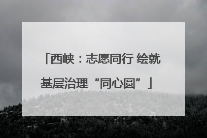 西峡：志愿同行 绘就基层治理“同心圆”