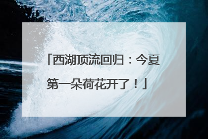 西湖顶流回归：今夏第一朵荷花开了！