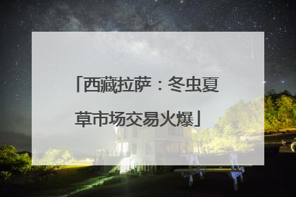 西藏拉萨：冬虫夏草市场交易火爆