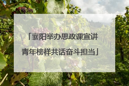 襄阳举办思政课宣讲 青年榜样共话奋斗担当