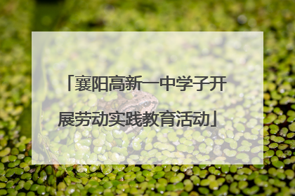 襄阳高新一中学子开展劳动实践教育活动