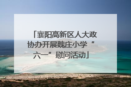 襄阳高新区人大政协办开展魏庄小学“六一”慰问活动