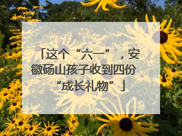 这个“六一”，安徽砀山孩子收到四份“成长礼物”