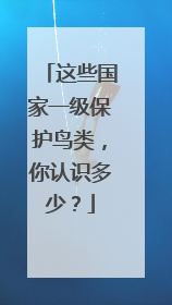 这些国家一级保护鸟类，你认识多少？