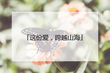 这份爱，跨越山海