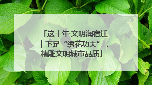 这十年·文明润宿迁｜下足“绣花功夫”，精雕文明城市品质