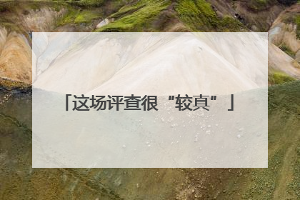这场评查很“较真”