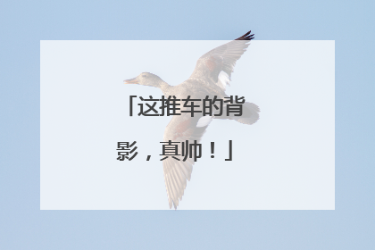 这推车的背影，真帅！