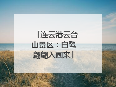 连云港云台山景区：白鹭翩翩入画来