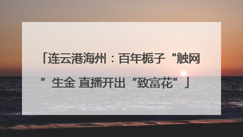连云港海州：百年栀子“触网”生金 直播开出“致富花”