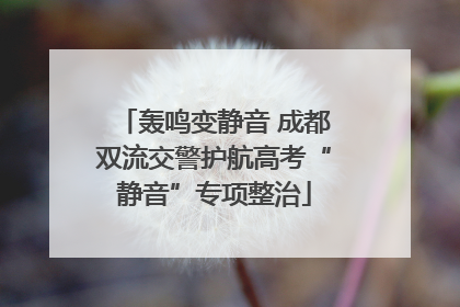 轰鸣变静音 成都双流交警护航高考“静音”专项整治