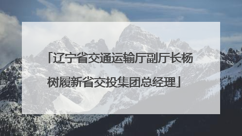 辽宁省交通运输厅副厅长杨树履新省交投集团总经理