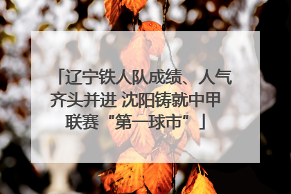 辽宁铁人队成绩、人气齐头并进 沈阳铸就中甲联赛“第一球市”